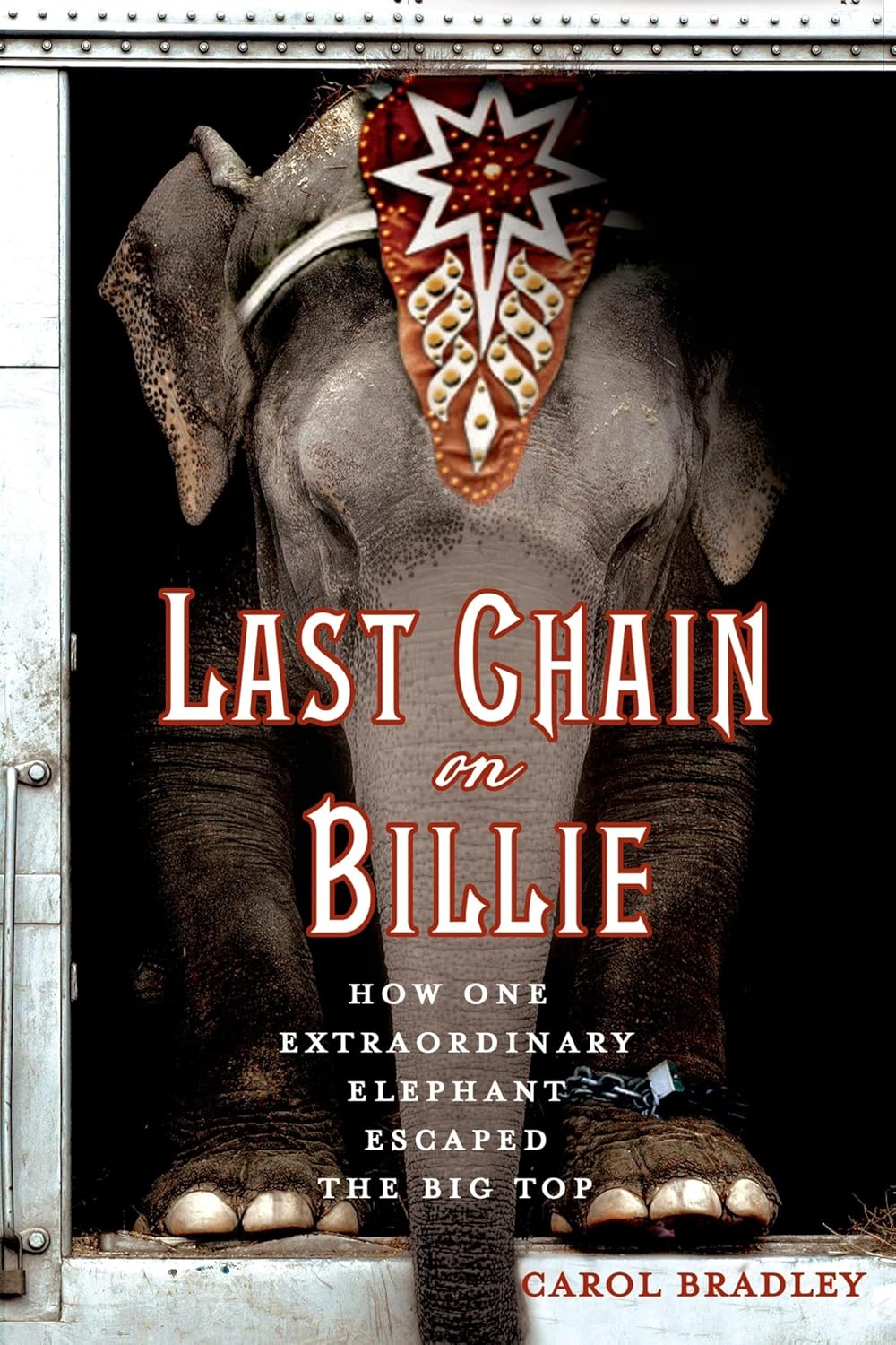 Last Chain on Billie