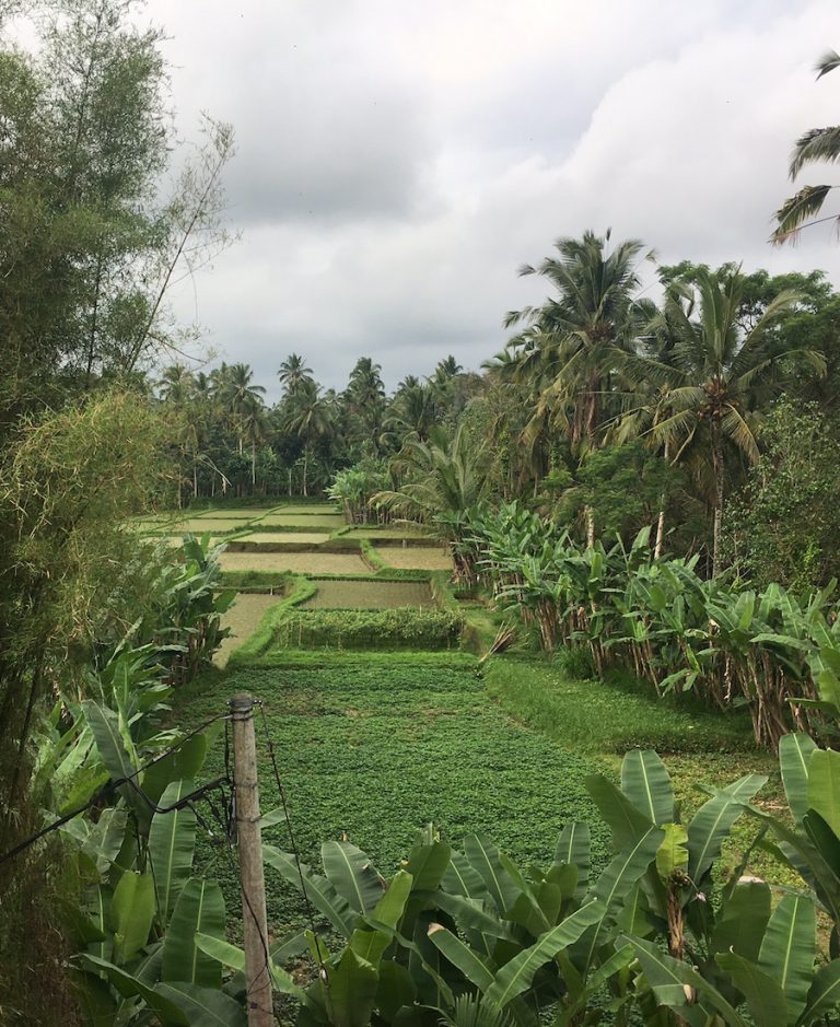 Bali_06